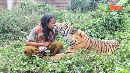 Tiger And Man Best Friends