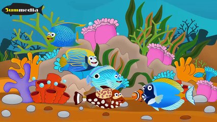 phim hoat hinh - cau chuyen dai duong - phan 1 - bummedia