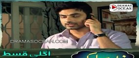 Zara Yaad Kar Episode 16 Promo - Hum Tv Drama