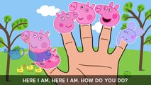 Peppa Pig Peppa Pig Magic Garden Flowers Finger Family Song!ABC Song Bus Song New 2016