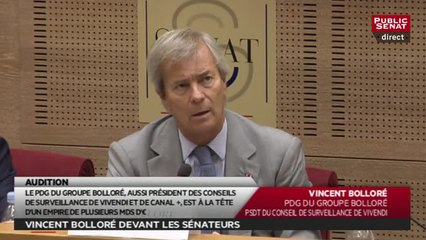 Vincent Bolloré : "Je ne suis pas un surhomme ni un enfant de 4 ans"