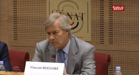 Vincent Bolloré : "Qu'est-ce qui fait que ma popularité n'est pas très élevée chez Canal ?"