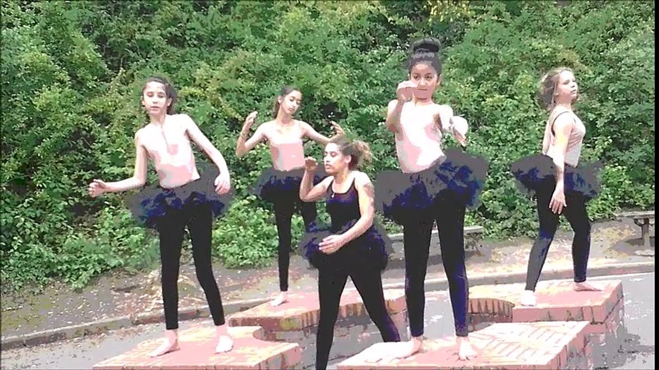 clip sia collège Louis Pasteur 2016