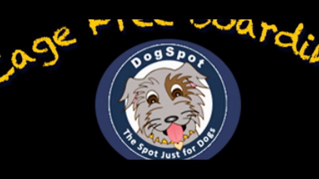 Dog Boarding Encinitas