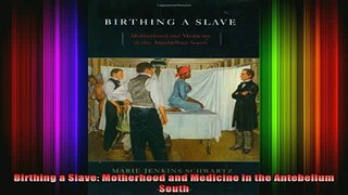 DOWNLOAD FREE Ebooks  Birthing a Slave Motherhood and Medicine in the Antebellum South Full EBook