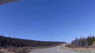 May 29, 2014 dash-cam video Yukon black bear crossing road.