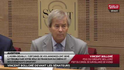 Crédit Mutuel, Médiapart, Canal : Vincent Bolloré répond à David Assouline
