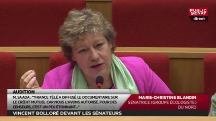 La question de la sénatrice Marie-Christine Blandin à Vincent Bolloré : Paratonnerre, fusible et censure