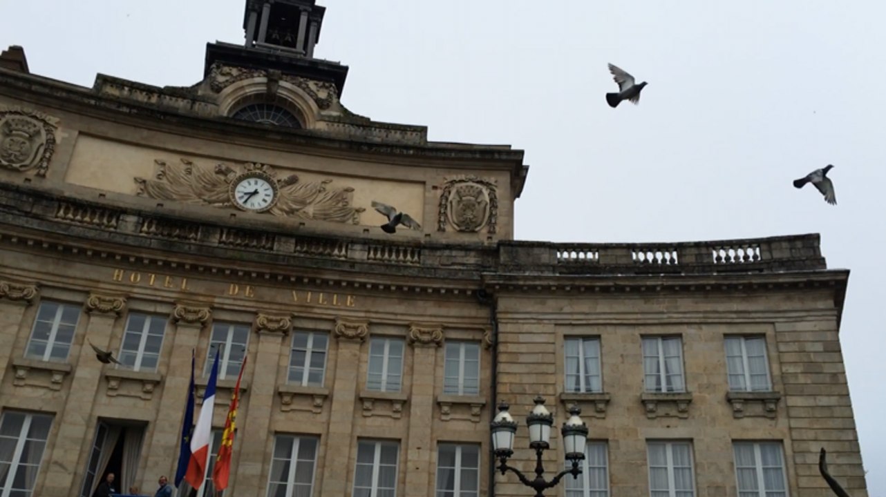 Lâcher de pigeons voyageurs