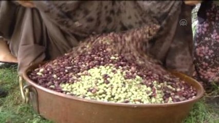 Karadeniz'de Dut Pekmezi Zamanı