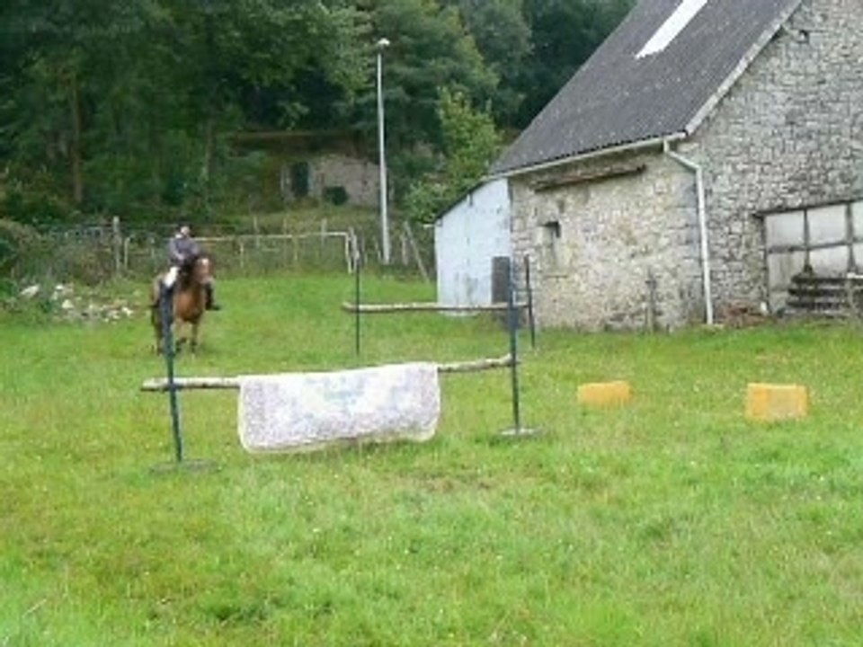 Cour de saut