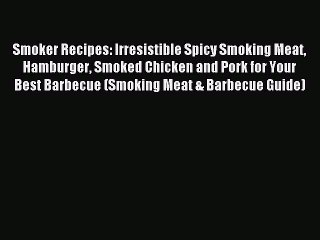 Read Smoker Recipes: Irresistible Spicy Smoking Meat Hamburger Smoked Chicken and Pork for