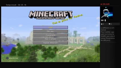 Les défis minecrafts # 3 (8)