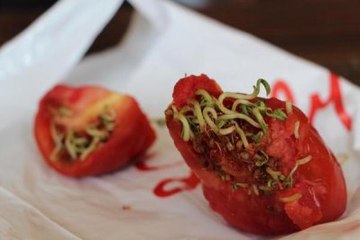 Domatesin İçinden Çıkan Şaşkına Çevirdi