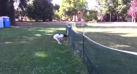 Ni vu, ni connu !