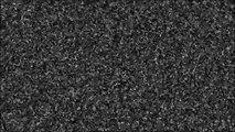 TV static noise (snow screen), white noise