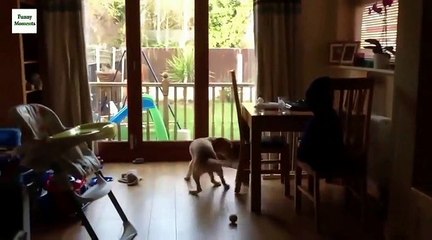 Самое смешное видео Приколы ржач часть 4