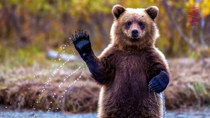 7 НЕВЕРОЯТНЫХ ТРЮКОВ С МАТЕМАТИКОЙ