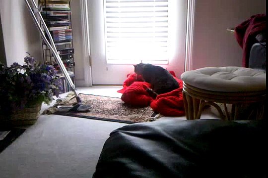 video-2010-06-26-13-28-59