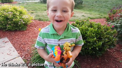 SKYLANDERS HAPPY MEAL TOYS Guessing Game + Fling Kong Surprise w  Sky Dog Rose! (TRAP TEAM FUN!)