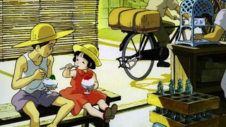 Top 20 Popular Photo Grave of the Fireflies