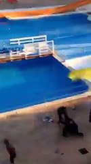 Deux touristes britanniques frappés au sol par la sécurité d'un hotel