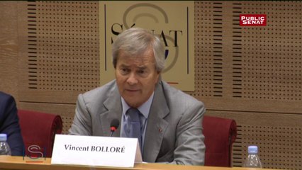 Bolloré : "Les gens ont crié au loup sur des histoires qui n’en sont pas"