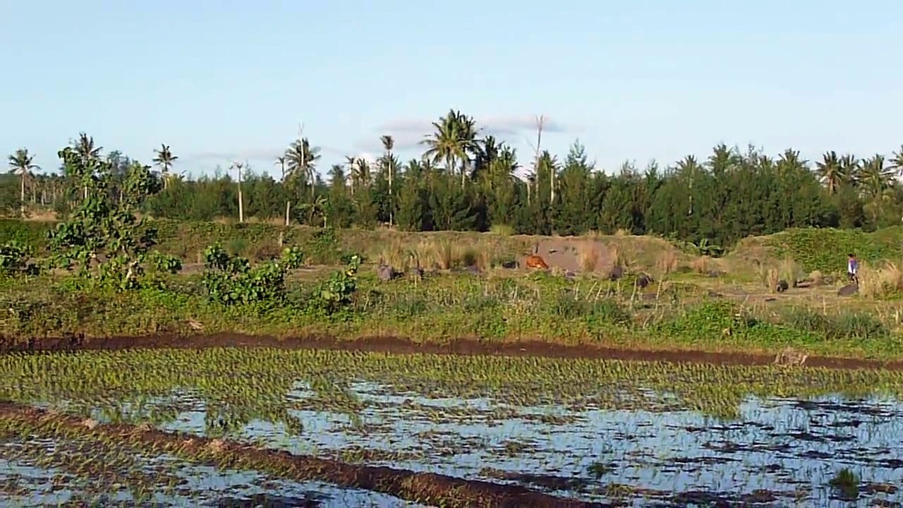 Mayon Volcano December 27, 2009 4:23PM