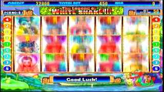 the most lines 243 video slot machine, 15 lines or 25 lines jackpot machine
