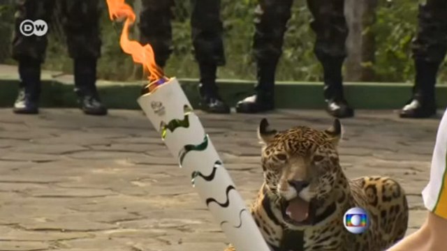 Olimpiyat jaguarını vurarak öldürdüler