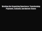 PDF Working the Organizing Experience: Transforming Psychotic Schizoid and Autistic States