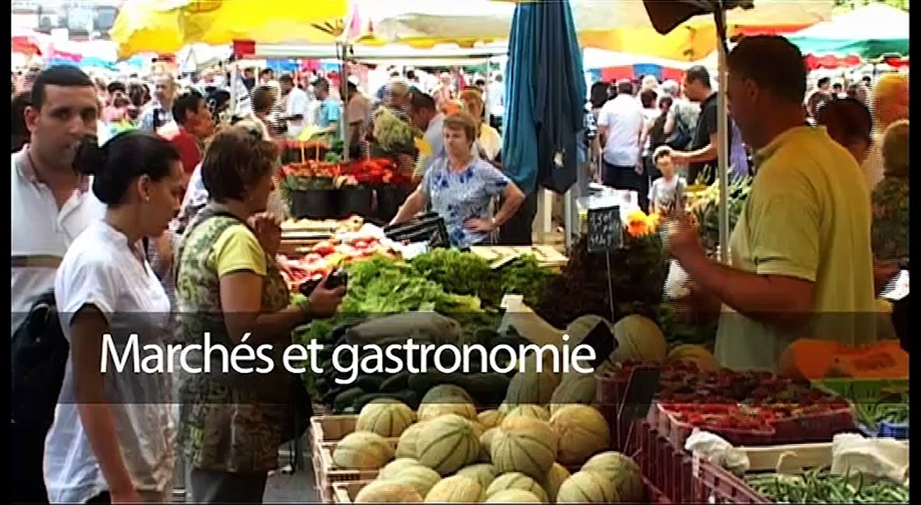 Visitez Montauban