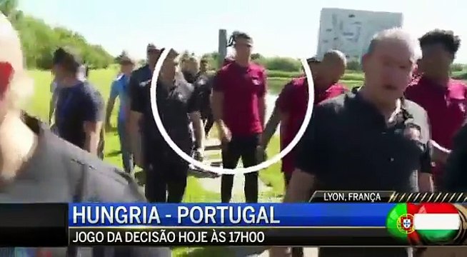 Cristiano Ronaldo throws reporter's microphone into lake [Euro 2016]