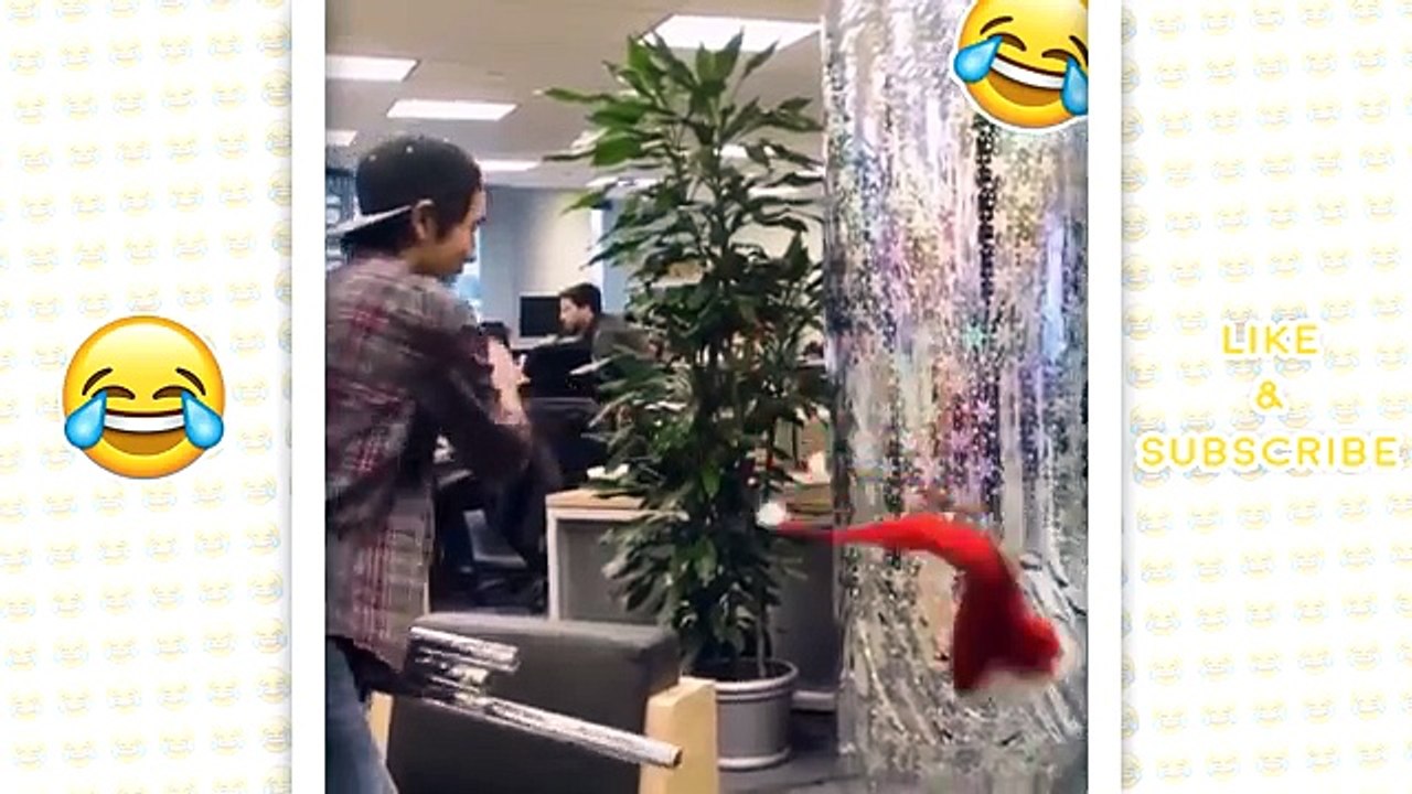 Best magic show in the world 2016 Best magic trick ever