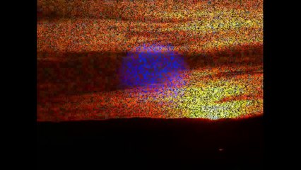 Stefan Waggershausen - Rikki und Rosi