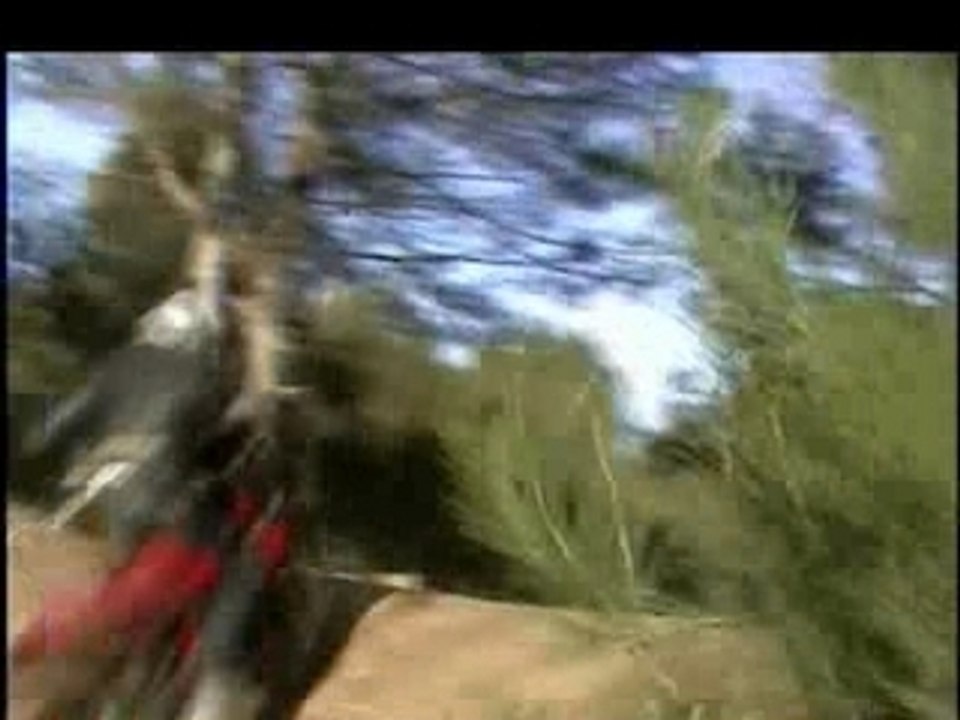 Stunt Moto - Born To Burn