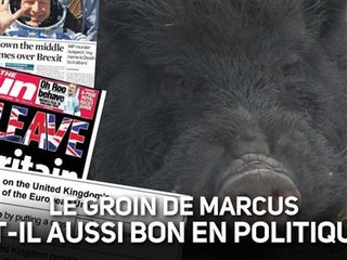 Les prédictions du cochon Marcus pour le Brexit