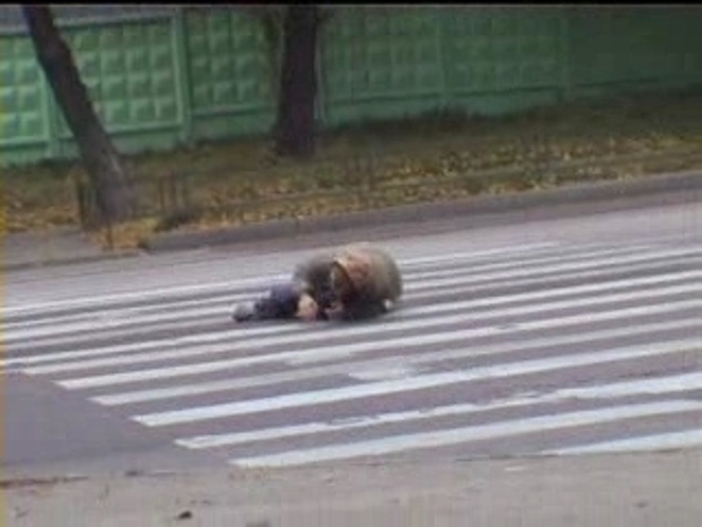 ⁣''I.F.K.'' - Панк-рок (los cretinos)