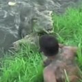 Um fotógrafo atacado por um crocodilo