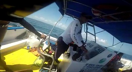 Stefan de Vrij su Twitter Swimming with Whalesharks