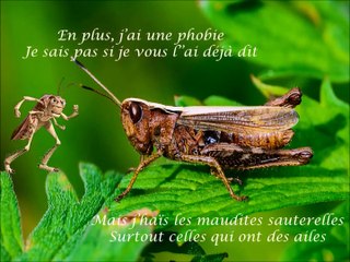 Les Maudites Bibites