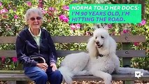 90 anni, donna in viaggio con il suo cane in tutti gli Stati Uniti