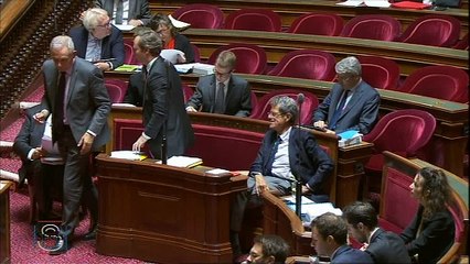 Loi travail : " La primauté à l'accord d'entreprise est quelque chose qui nous tient à coeur au Sénat ! "