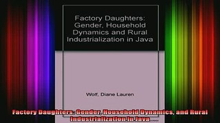 READ book  Factory Daughters Gender Household Dynamics and Rural Industrialization in Java Full EBook