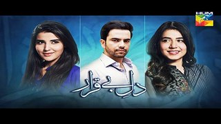Dil E Beqarar Episode 12 Promo on Hum Tv in - 22nd June 2016