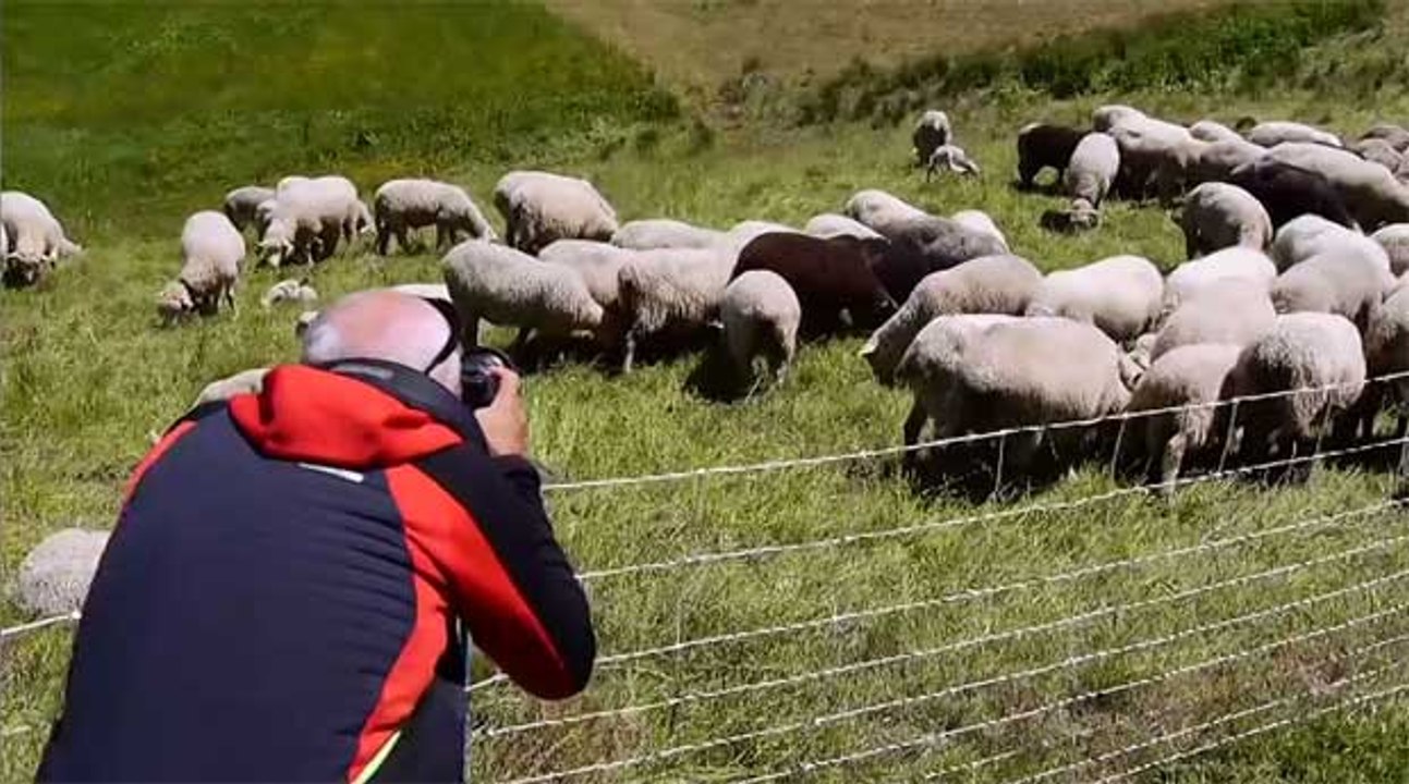 Le JT Montagne - Photographie au Pays du Mont-Blanc