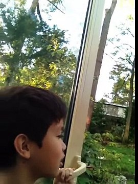 29 ตุลาคม 2558