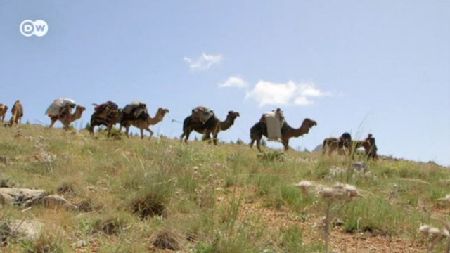 Китайский Шелковый путь : угроза для России? (22.06.2016)