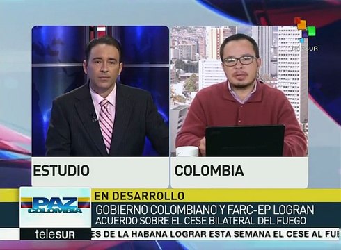 Colombia: informan FARC sobre acuerdo de cese definitivo al fuego