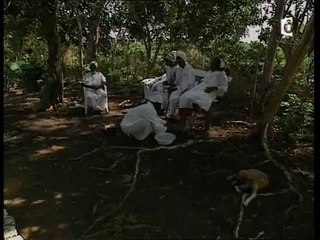 Culture Rastafari PART 2